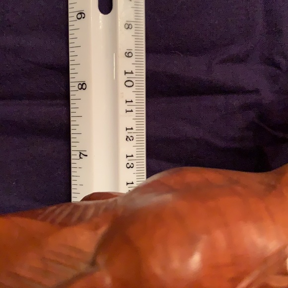 Elephant - Picture 2 of 7